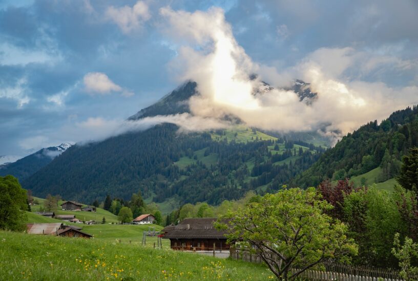 village with mountains and forest in the distance